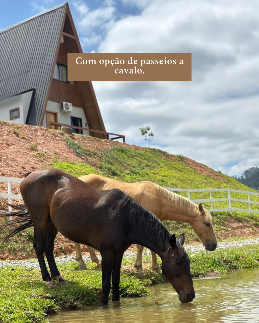 Estrutura do sítio